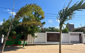 Casa Blanca